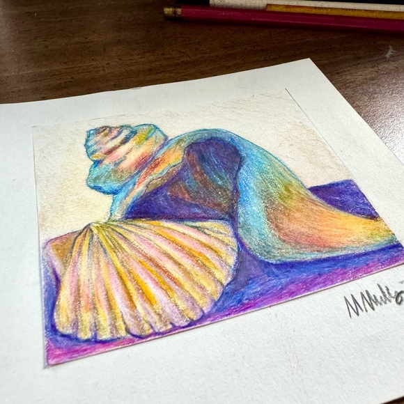 NEW Handmade Hand Crafted Beach Sea Shell Drawing Ocean Object Home Illustration - Picture 3 of 4